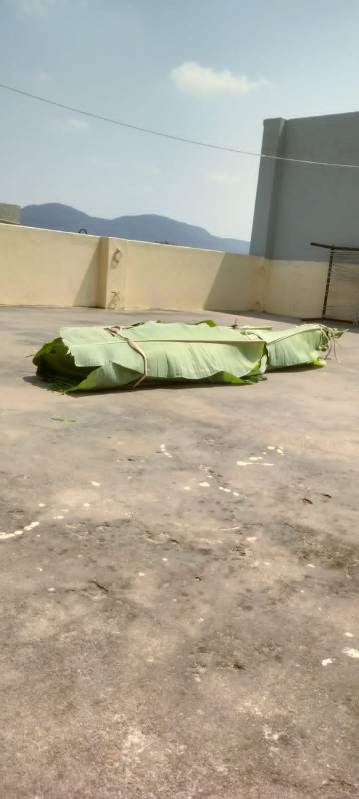 கோடை வெயிலுக்கு இதமானது புற்றுமண் குளியல் வாழை இலை குளியல் விழிப்புணர்வு நிகழ்ச்சி கோடை வெயிலுக்கு இதமானது புற்றுமண் குளியல் வாழை இலை குளியல் விழிப்புணர்வு நிகழ்ச்சி