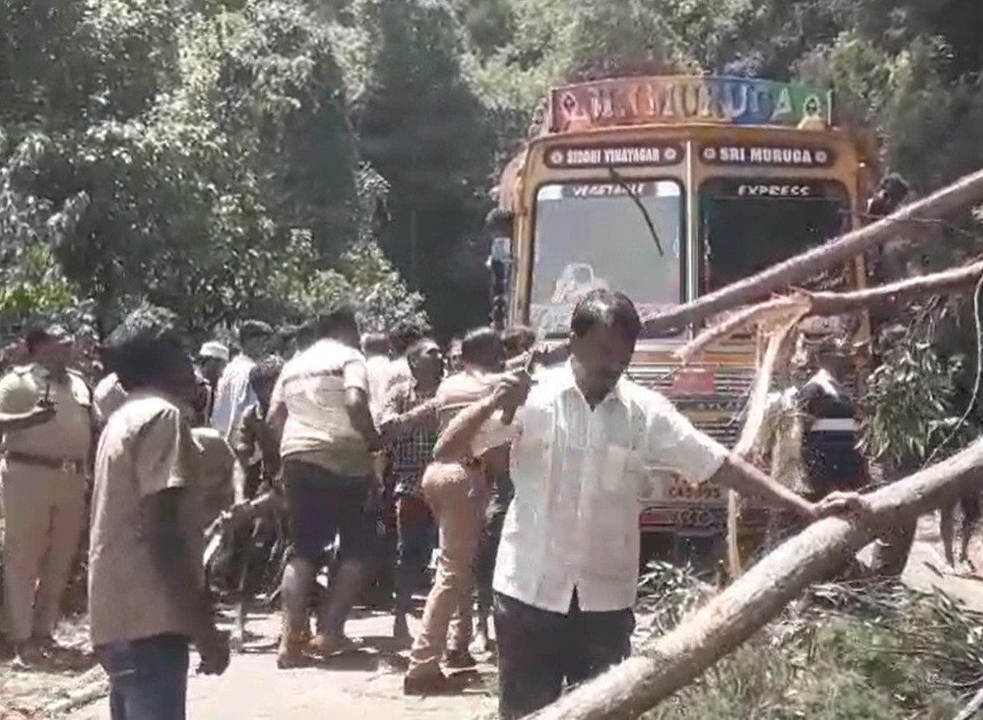 நீலகிரி மாவட்டம் உதகையில் இருந்து மிகவும் பிரசித்தி பெற்ற சுற்றுலா ஸ்தலமான தொட்டபெட்டா செல்லும் சாலையில் மரம் விழுந்து சுமார் இரண்டு மணி நேரம் போக்குவரத்து பாதிப்பு