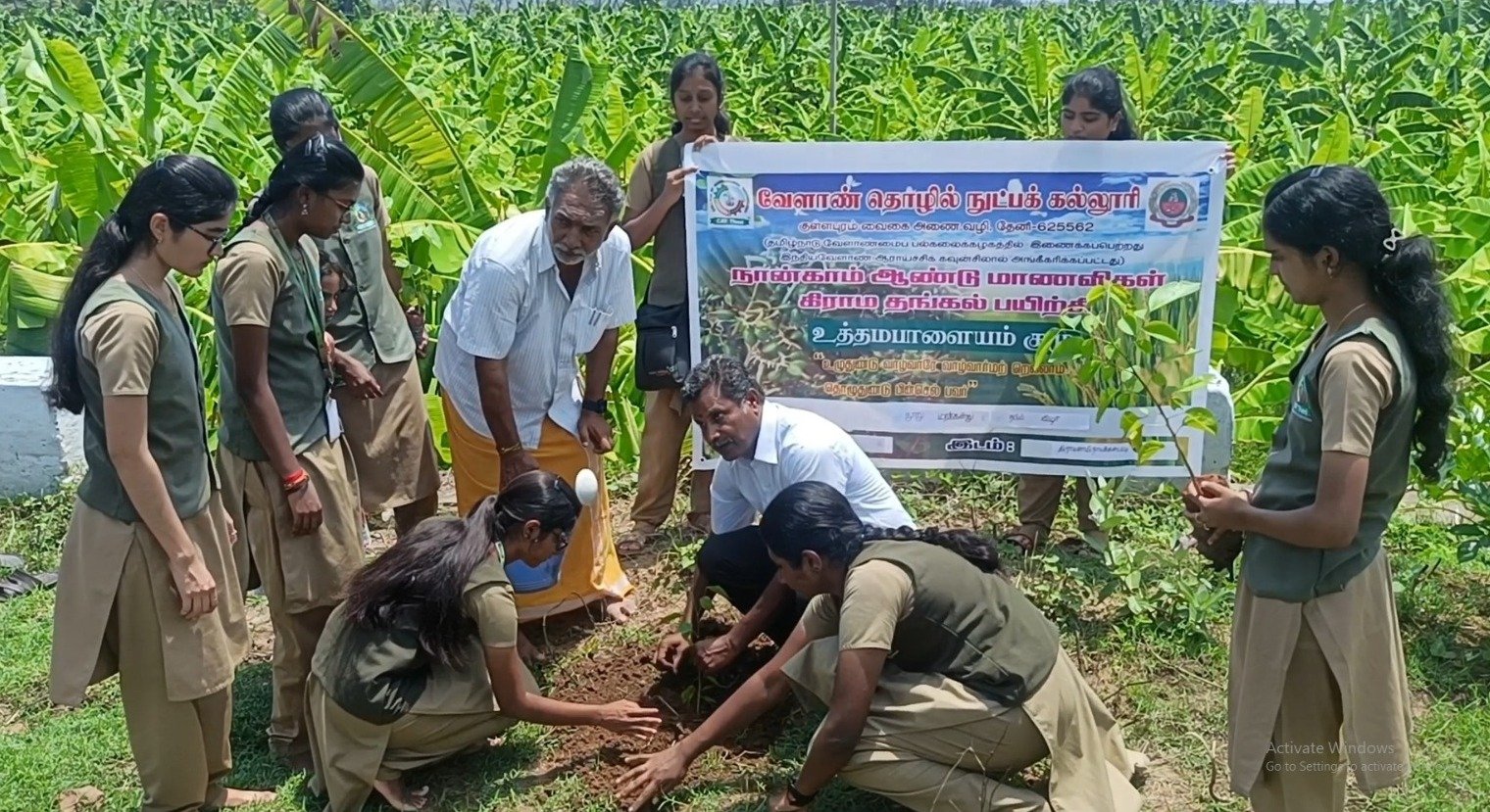 குள்ளபுரம் வேளாண் கல்லூரி மாணவிகள் குளக்கரையில் 300க்கும் மேற்பட்ட மரக்கன்றுகள் நட்டு வைத்தனர்.