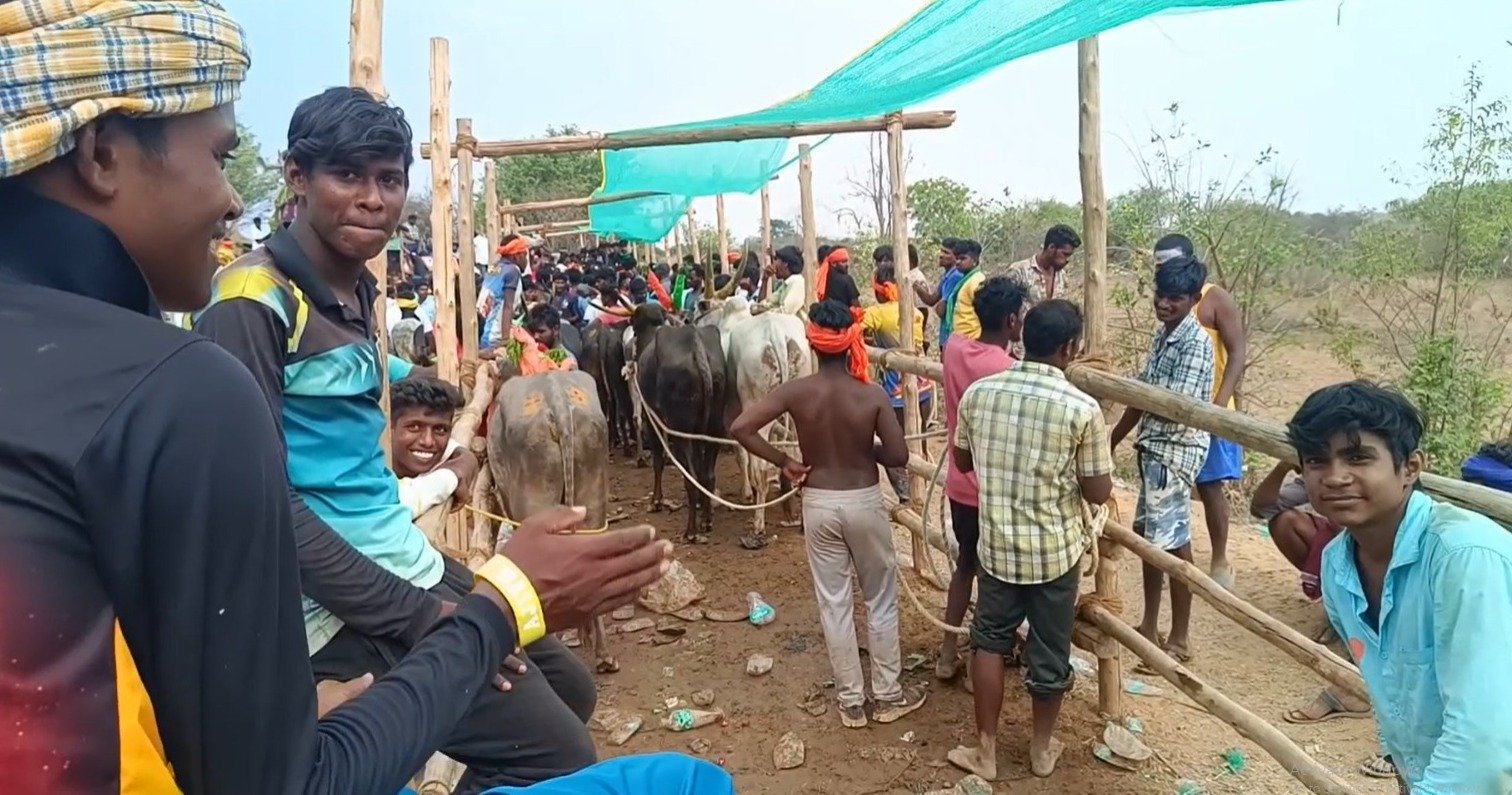 ஓசூர் அருகே, உரிய அனுமதியின்றி எருதுவிடும் பரிசு பண்டிகை நடத்திய கிராம மக்கள் .