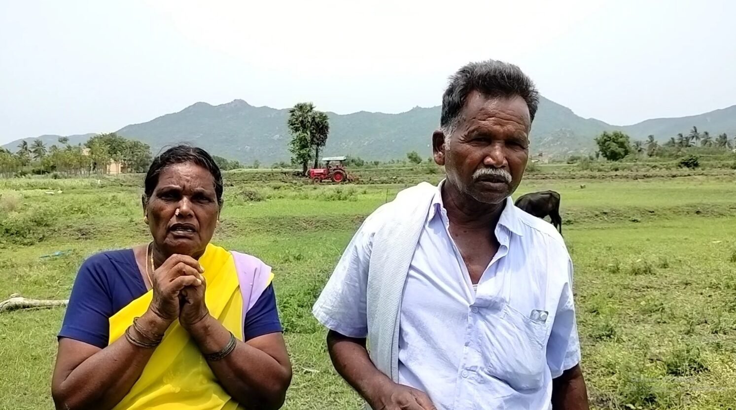 டைவஸ் தருவதாக கூறி நிலத்தை வாங்கிக் கொண்டு மாமனார் மாமியாரை கொலை மிரட்டல் செய்யும் மருமகள் வீட்டார்.