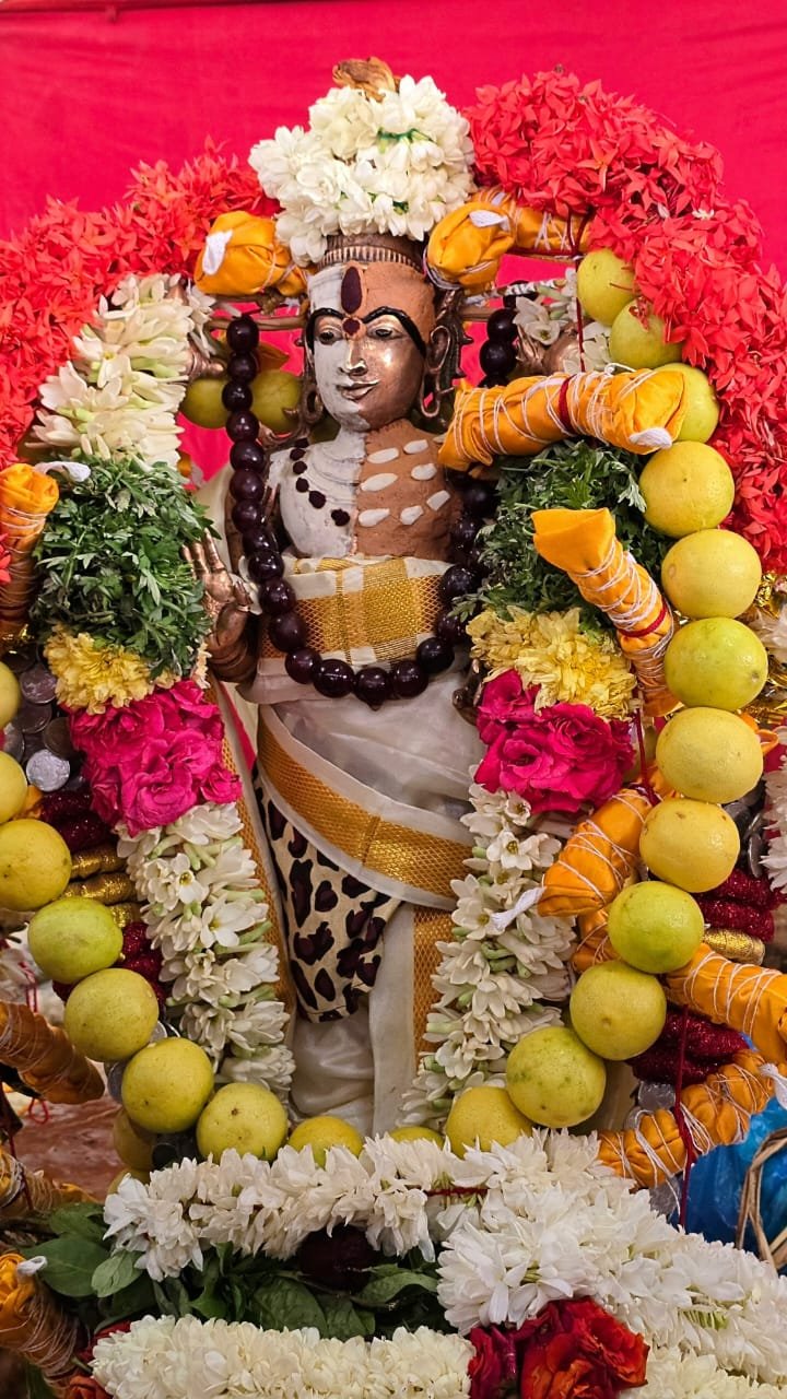 சங்கரன்கோவில் சங்கரநாராயண சாமி கோவிலில் ஆடித்தபசு திருவிழா : பக்தர்கள் குவிந்தனர் சங்கரன்கோவில் சங்கரநாராயண சாமி கோவிலில் ஆடித்தபசு திருவிழா : பக்தர்கள் குவிந்தனர்