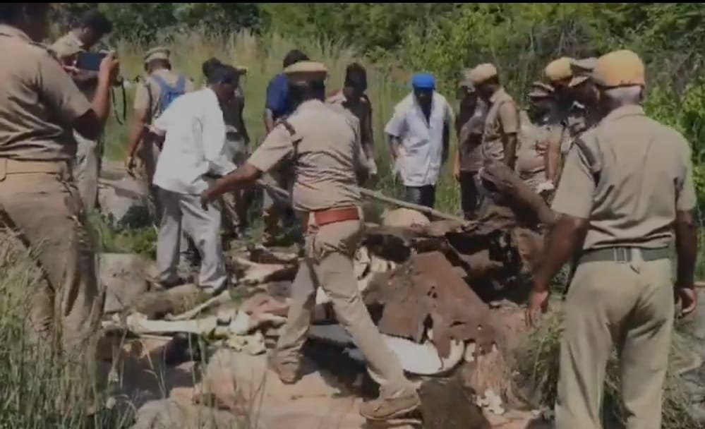 அரவட்லா மலைப்பகுதியில் காட்டுக்குள் கிடந்த யானையின் எலும்புக்கூடு! அரவட்லா மலைப்பகுதியில் காட்டுக்குள் கிடந்த யானையின் எலும்புக்கூடு!