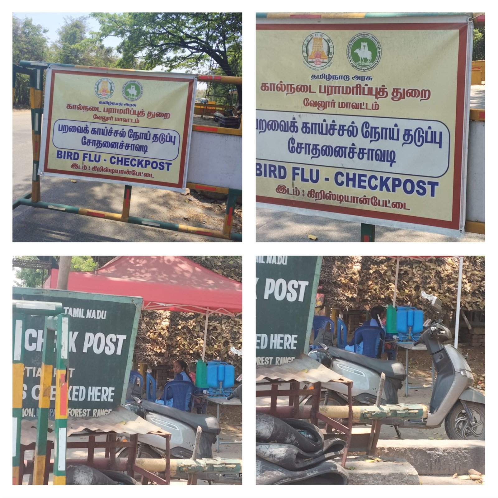 காட்பாடி கிறிஸ்டியான்பேட்டை பறவை காய்ச்சல் சோதனை சாவடியில் ஹாயாக அமர்ந்து கொண்டு நேரத்தை கடத்தும் பணியாளர்கள்! 